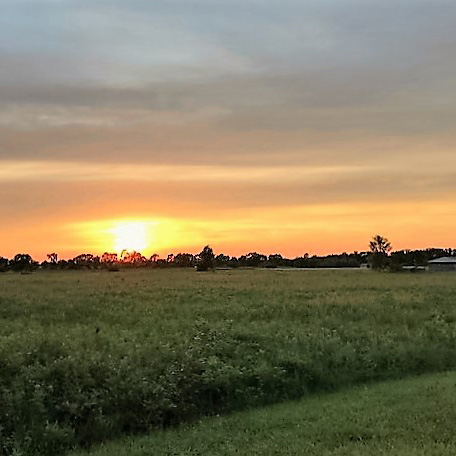 sunset over field