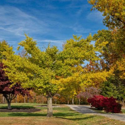 Russ Nature Reserve - fall