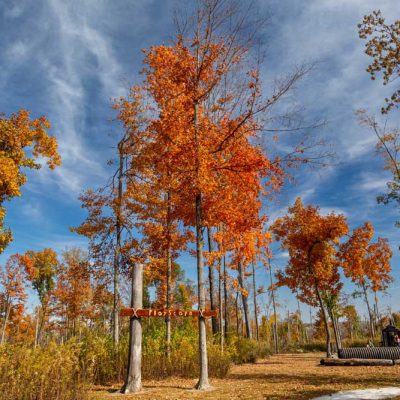 Russ Nature Reserve - fall