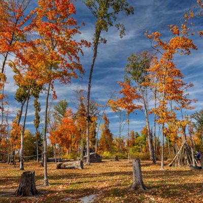 Russ Nature Reserve - fall